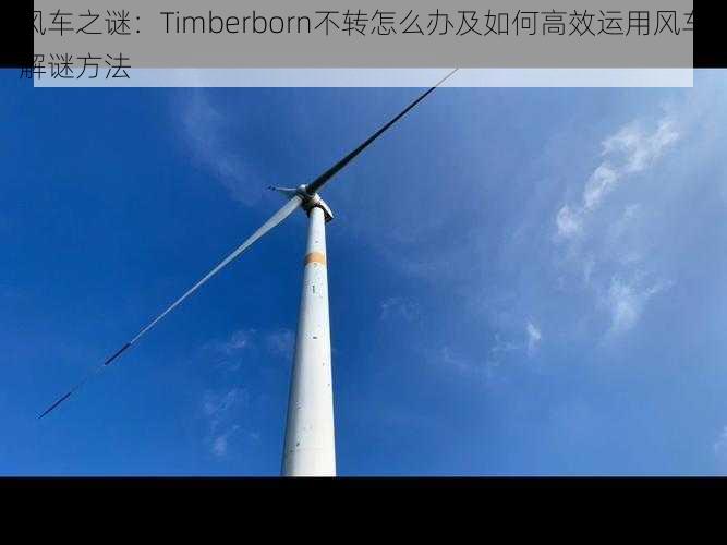 风车之谜：Timberborn不转怎么办及如何高效运用风车解谜方法