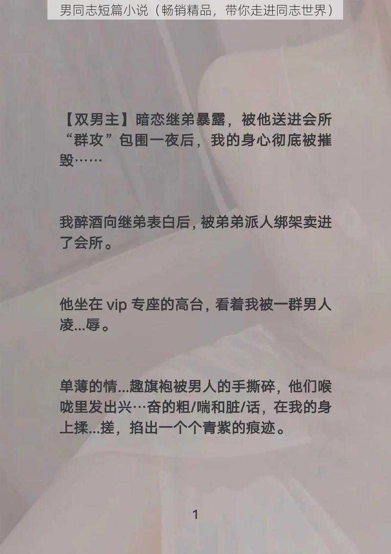 男同志短篇小说（畅销精品，带你走进同志世界）