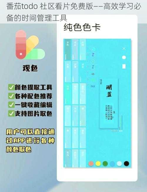 番茄todo 社区看片免费版——高效学习必备的时间管理工具