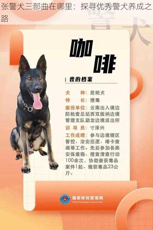 张警犬三部曲在哪里：探寻优秀警犬养成之路