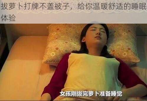 拔萝卜打牌不盖被子，给你温暖舒适的睡眠体验