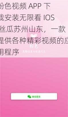 粉色视频 APP 下载安装无限看 IOS 丝瓜苏州山东，一款提供各种精彩视频的应用程序