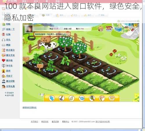 100 款不良网站进入窗口软件，绿色安全，隐私加密