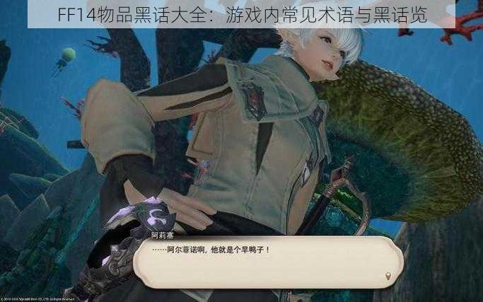 FF14物品黑话大全：游戏内常见术语与黑话览