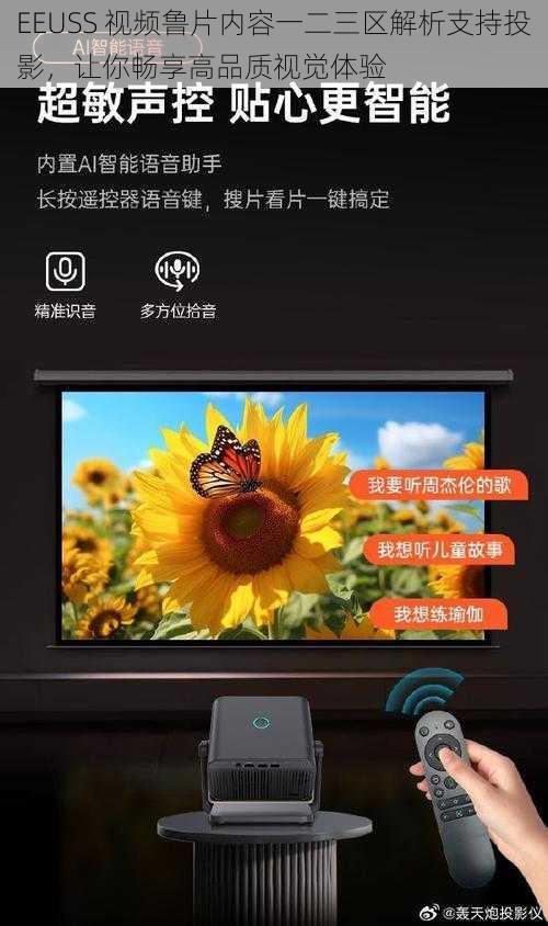 EEUSS 视频鲁片内容一二三区解析支持投影，让你畅享高品质视觉体验