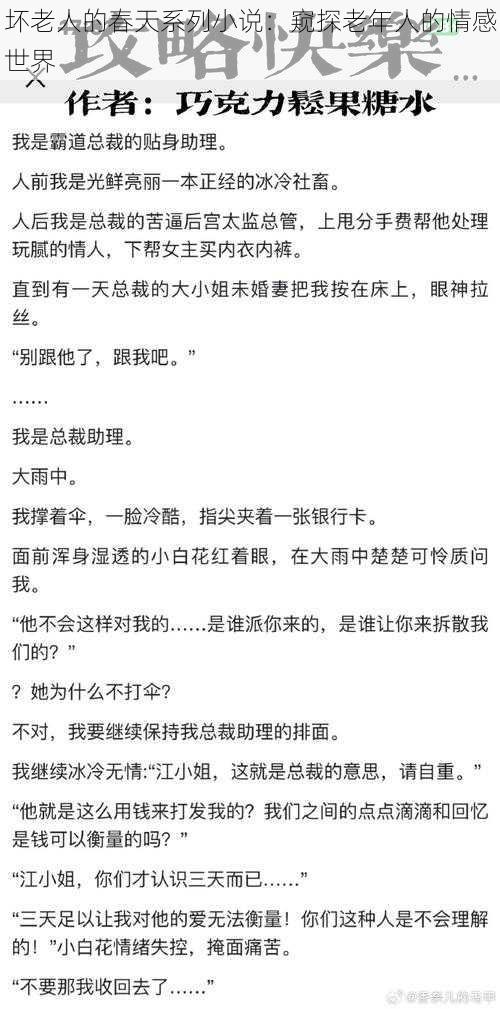 坏老人的春天系列小说：窥探老年人的情感世界