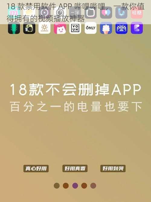 18 款禁用软件 APP 哔哩哔哩，一款你值得拥有的视频播放神器