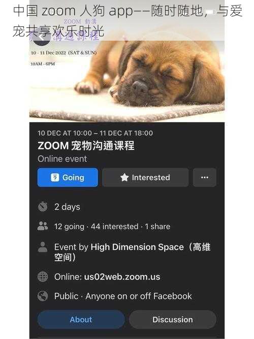 中国 zoom 人狗 app——随时随地，与爱宠共享欢乐时光