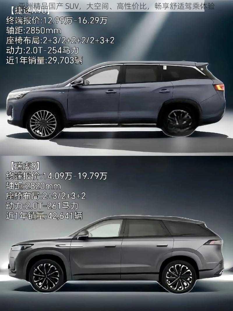 亚洲精品国产 SUV，大空间、高性价比，畅享舒适驾乘体验