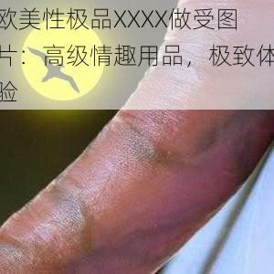 欧美性极品XXXX做受图片：高级情趣用品，极致体验