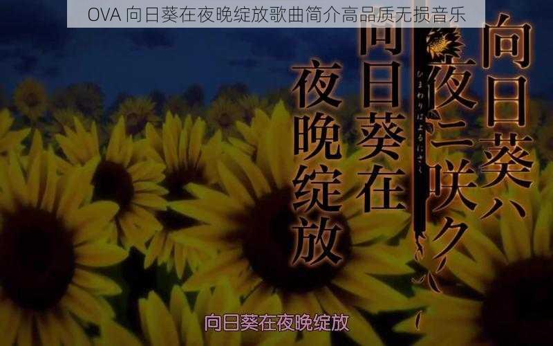 OVA 向日葵在夜晚绽放歌曲简介高品质无损音乐