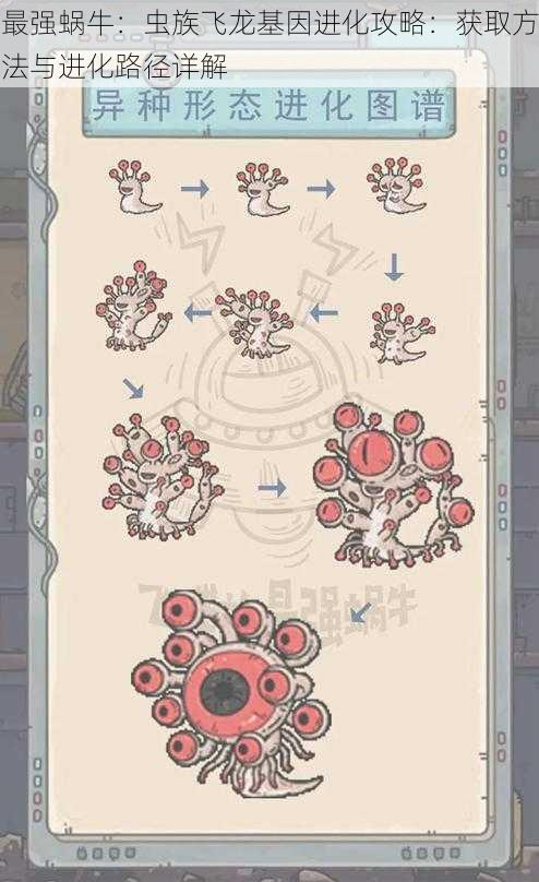 最强蜗牛：虫族飞龙基因进化攻略：获取方法与进化路径详解