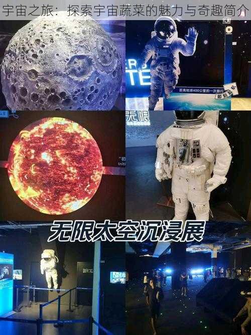 宇宙之旅：探索宇宙蔬菜的魅力与奇趣简介