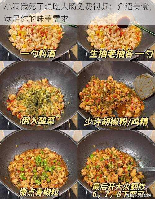 小洞饿死了想吃大肠免费视频：介绍美食，满足你的味蕾需求