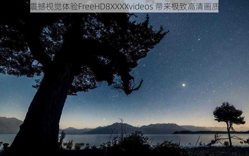 震撼视觉体验FreeHD8XXXXvideos 带来极致高清画质