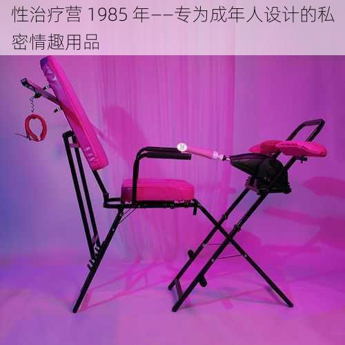 性治疗营 1985 年——专为成年人设计的私密情趣用品