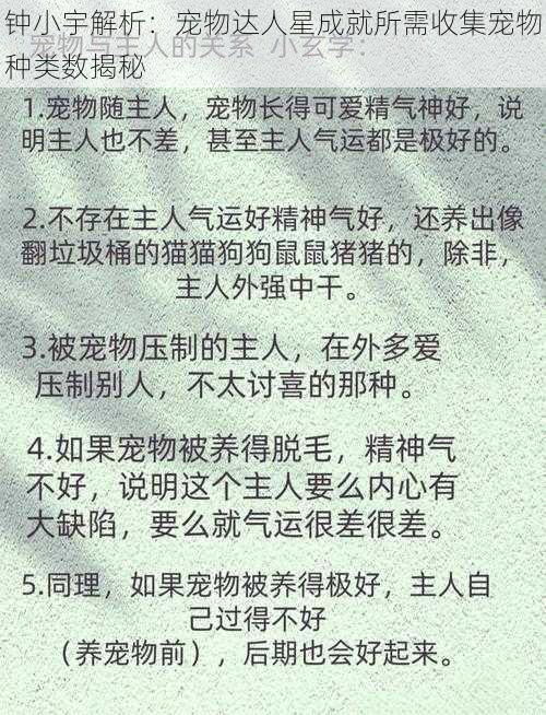 钟小宇解析：宠物达人星成就所需收集宠物种类数揭秘