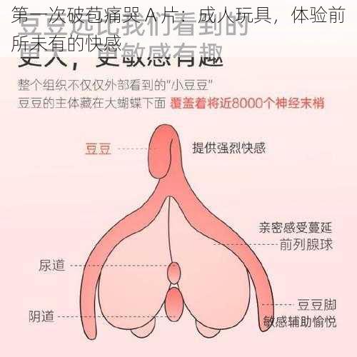 第一次破苞痛哭 A 片：成人玩具，体验前所未有的快感