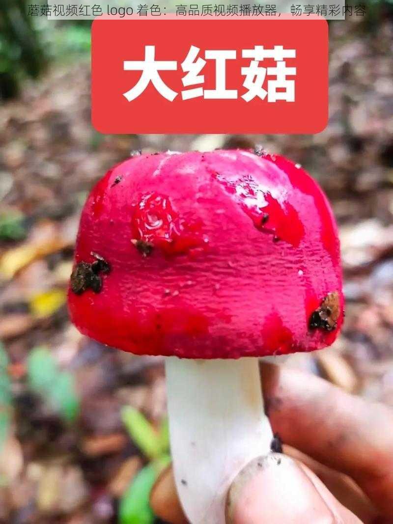 蘑菇视频红色 logo 着色：高品质视频播放器，畅享精彩内容