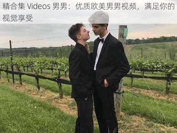 精合集 Videos 男男：优质欧美男男视频，满足你的视觉享受