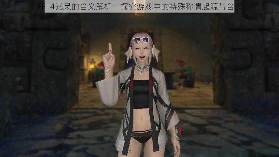 FF14光呆的含义解析：探究游戏中的特殊称谓起源与含义