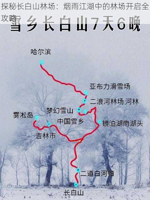 探秘长白山林场：烟雨江湖中的林场开启全攻略