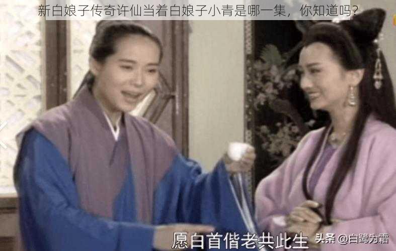 新白娘子传奇许仙当着白娘子小青是哪一集，你知道吗？