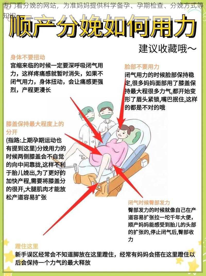 专门看分娩的网站，为准妈妈提供科学备孕、孕期检查、分娩方式等知识