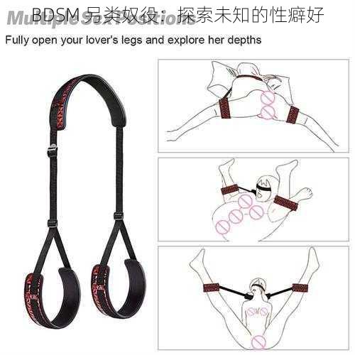 BDSM 另类奴役：探索未知的性癖好