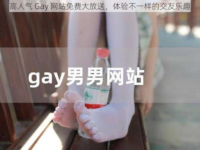 高人气 Gay 网站免费大放送，体验不一样的交友乐趣