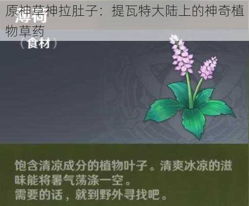 原神草神拉肚子：提瓦特大陆上的神奇植物草药