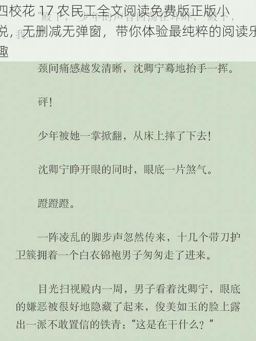 四校花 17 农民工全文阅读免费版正版小说，无删减无弹窗，带你体验最纯粹的阅读乐趣