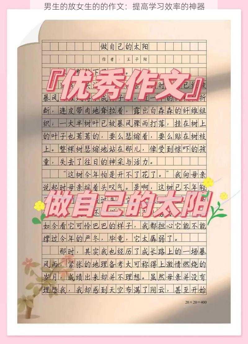 男生的放女生的的作文：提高学习效率的神器