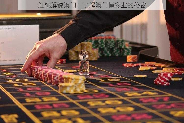 红桃解说澳门：了解澳门博彩业的秘密