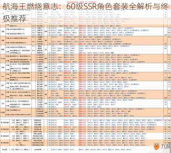 航海王燃烧意志：60级SSR角色套装全解析与终极推荐