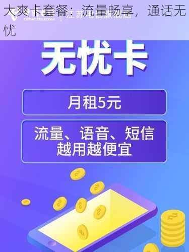 大爽卡套餐：流量畅享，通话无忧