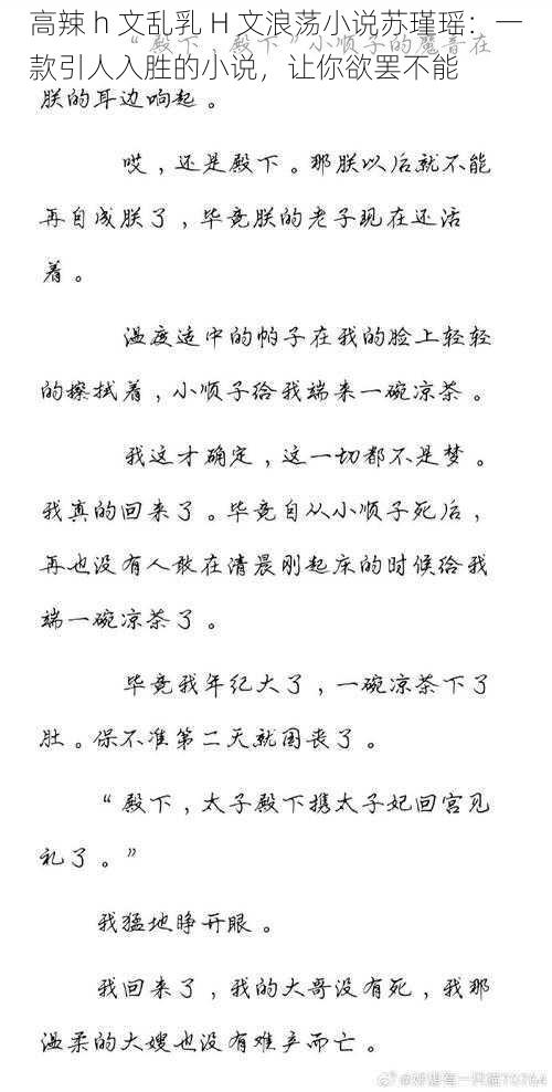 高辣 h 文乱乳 H 文浪荡小说苏瑾瑶：一款引人入胜的小说，让你欲罢不能