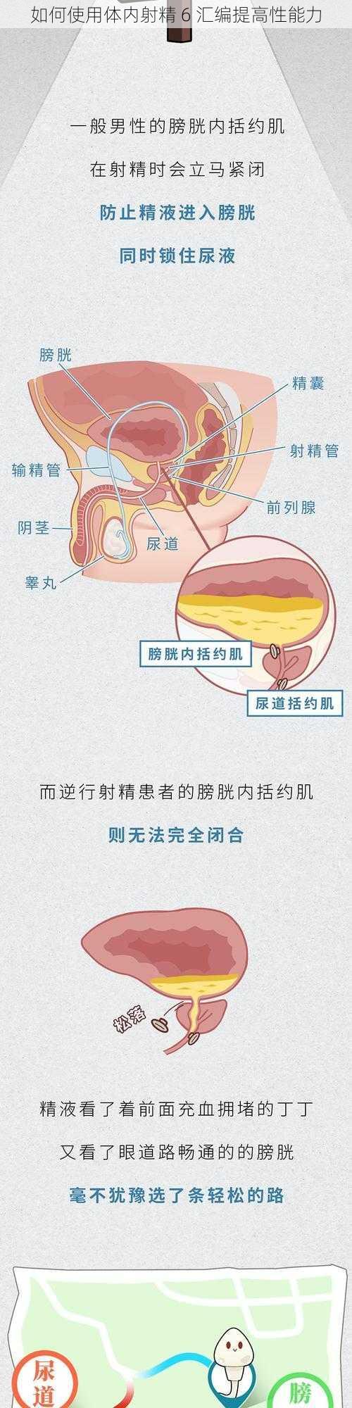 如何使用体内射精 6 汇编提高性能力