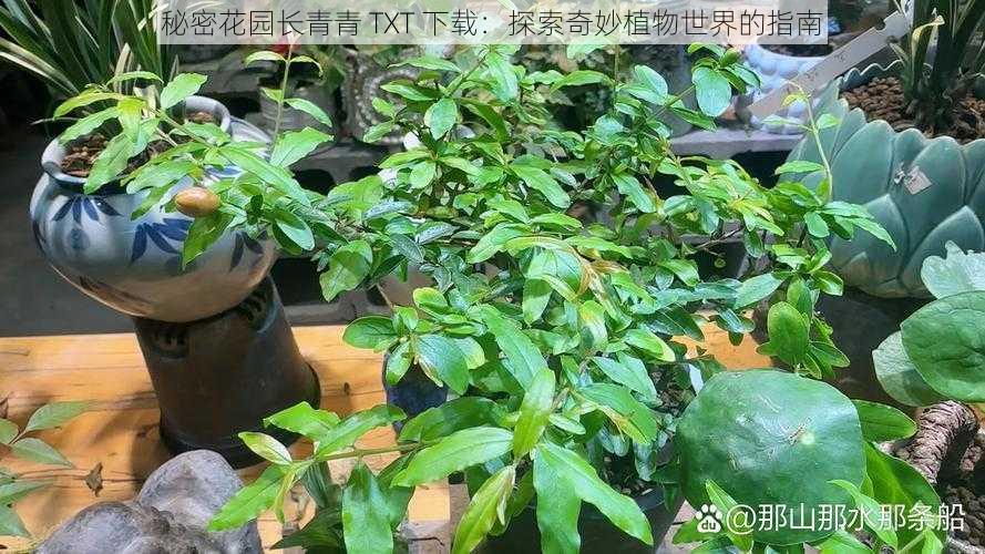 秘密花园长青青 TXT 下载：探索奇妙植物世界的指南