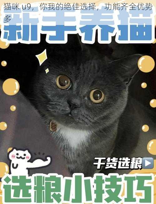 猫咪 u9，你我的绝佳选择，功能齐全优势多